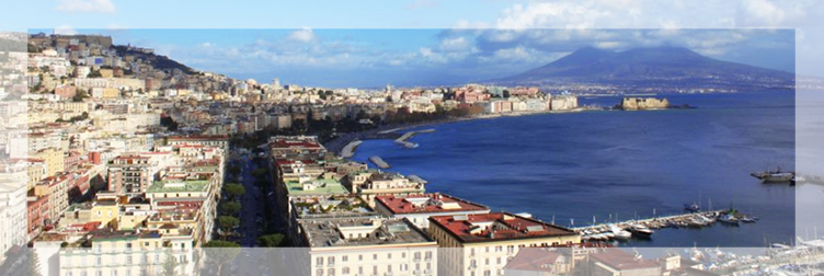 Napoli storia e cultura
